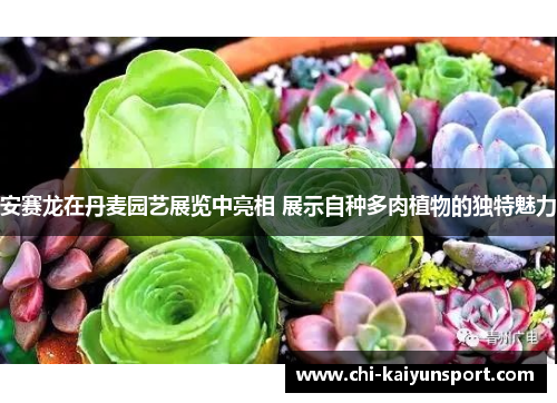 安赛龙在丹麦园艺展览中亮相 展示自种多肉植物的独特魅力